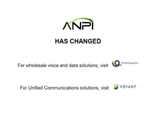 Tablet Screenshot of anpi.com
